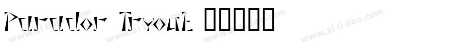 Parador Tryout字体转换